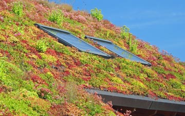 Kirk Langley living roof systems
