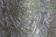 Kirk Langley fibreglass roof work